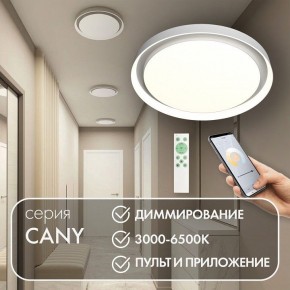 Накладной светильник Denkirs Cany DK6516-WH в Южноуральске - yuzhnouralsk.mebel24.online | фото 4