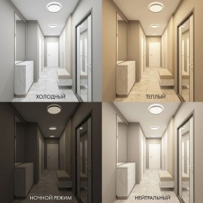 Накладной светильник Denkirs PLATO DK6510-WH/1 в Южноуральске - yuzhnouralsk.mebel24.online | фото 5