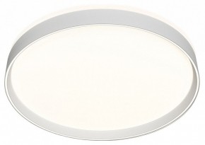 Накладной светильник Denkirs PLATO DK6511-WH/1 в Южноуральске - yuzhnouralsk.mebel24.online | фото