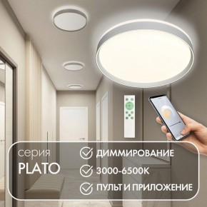 Накладной светильник Denkirs PLATO DK6511-WH/1 в Южноуральске - yuzhnouralsk.mebel24.online | фото 4