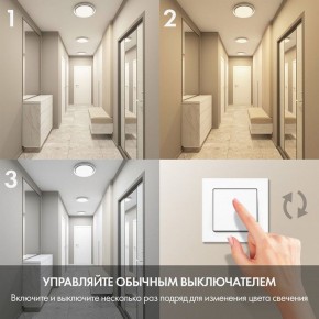 Накладной светильник Denkirs Cany DK6516-WH в Южноуральске - yuzhnouralsk.mebel24.online | фото 6