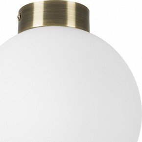 Накладной светильник Lightstar Globo 812021 в Южноуральске - yuzhnouralsk.mebel24.online | фото 3