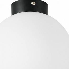 Накладной светильник Lightstar Globo 812027 в Южноуральске - yuzhnouralsk.mebel24.online | фото 2