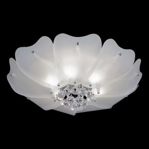 Накладной светильник Lightstar Lobo 804020 в Южноуральске - yuzhnouralsk.mebel24.online | фото 2