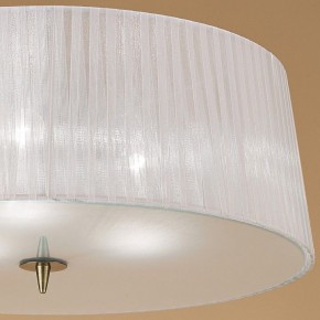 Накладной светильник Mantra Loewe 4740 в Южноуральске - yuzhnouralsk.mebel24.online | фото 4