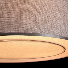Накладной светильник Maytoni Bergamo MOD613CL-04GR в Южноуральске - yuzhnouralsk.mebel24.online | фото 10