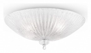 Накладной светильник Maytoni Bonnet C809CL-04CH в Южноуральске - yuzhnouralsk.mebel24.online | фото 2
