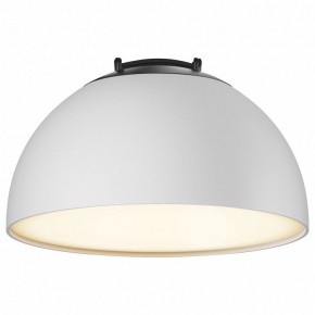 Накладной светильник Maytoni Bowl TR126B-20W3K-W в Южноуральске - yuzhnouralsk.mebel24.online | фото