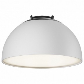 Накладной светильник Maytoni Bowl TR126B-20W4K-W в Южноуральске - yuzhnouralsk.mebel24.online | фото