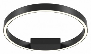 Накладной светильник Maytoni Rim MOD058CL-L25BK в Южноуральске - yuzhnouralsk.mebel24.online | фото