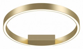Накладной светильник Maytoni Rim MOD058CL-L25BSK в Южноуральске - yuzhnouralsk.mebel24.online | фото 2