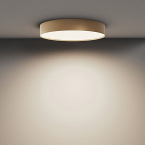 Накладной светильник Maytoni Zon C032CL-45W4K-RD-MG в Южноуральске - yuzhnouralsk.mebel24.online | фото 4