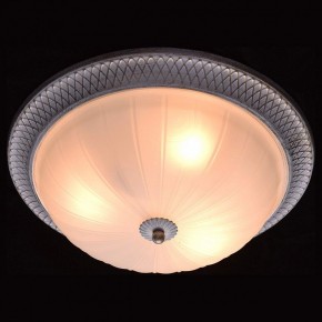 Накладной светильник MW-Light Ариадна 450013603 в Южноуральске - yuzhnouralsk.mebel24.online | фото 2
