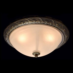 Накладной светильник MW-Light Ариадна 450015703 в Южноуральске - yuzhnouralsk.mebel24.online | фото 2