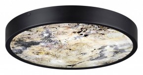 Накладной светильник Odeon Light Bergi 5064/30L в Южноуральске - yuzhnouralsk.mebel24.online | фото 4