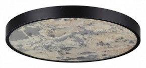 Накладной светильник Odeon Light Bergi 5064/50L в Южноуральске - yuzhnouralsk.mebel24.online | фото 3