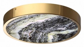 Накладной светильник Odeon Light Bergi 5079/30L в Южноуральске - yuzhnouralsk.mebel24.online | фото 3