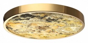 Накладной светильник Odeon Light Bergi 5079/40L в Южноуральске - yuzhnouralsk.mebel24.online | фото 2