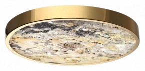 Накладной светильник Odeon Light Bergi 5079/40L в Южноуральске - yuzhnouralsk.mebel24.online | фото 6