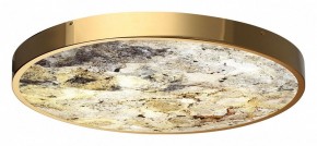 Накладной светильник Odeon Light Bergi 5079/50L в Южноуральске - yuzhnouralsk.mebel24.online | фото 5