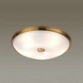Накладной светильник Odeon Light Pelow 4956/5 в Южноуральске - yuzhnouralsk.mebel24.online | фото 2