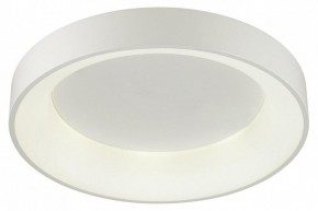 Накладной светильник Odeon Light Sole 4062/50CL в Южноуральске - yuzhnouralsk.mebel24.online | фото 3
