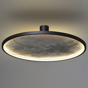 Накладной светильник Odeon Light Stoflake 5078/55L в Южноуральске - yuzhnouralsk.mebel24.online | фото 8