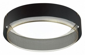 Накладной светильник Sonex Antey 7692/80L в Южноуральске - yuzhnouralsk.mebel24.online | фото 4
