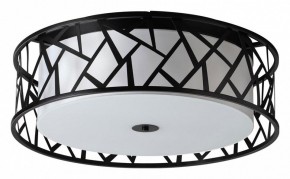 Накладной светильник Sonex Fabiana 7700/60L в Южноуральске - yuzhnouralsk.mebel24.online | фото