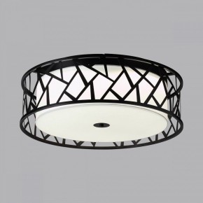 Накладной светильник Sonex Fabiana 7700/60L в Южноуральске - yuzhnouralsk.mebel24.online | фото 4