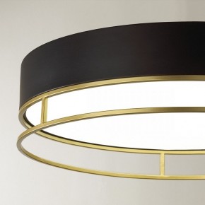 Накладной светильник Sonex Lofty 7723/65L в Южноуральске - yuzhnouralsk.mebel24.online | фото 10