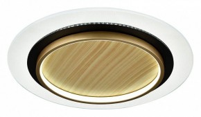 Накладной светильник Sonex Sunny 7731/80L в Южноуральске - yuzhnouralsk.mebel24.online | фото