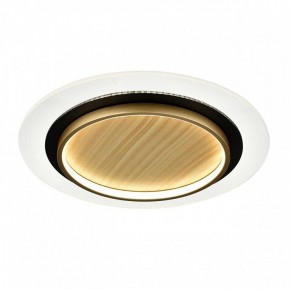 Накладной светильник Sonex Sunny 7731/80L в Южноуральске - yuzhnouralsk.mebel24.online | фото 4