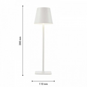 Настольная лампа декоративная F-promo Pyari 4614-1T в Южноуральске - yuzhnouralsk.mebel24.online | фото 3