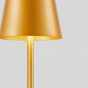 Настольная лампа декоративная F-promo Pyari 4616-1T в Южноуральске - yuzhnouralsk.mebel24.online | фото 5