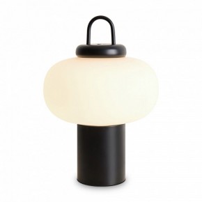 Настольная лампа декоративная Freya Take FR6175TL-L10B в Южноуральске - yuzhnouralsk.mebel24.online | фото