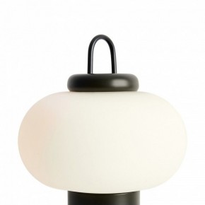 Настольная лампа декоративная Freya Take FR6175TL-L10B в Южноуральске - yuzhnouralsk.mebel24.online | фото 5