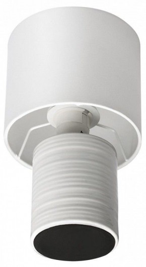 Настольная лампа декоративная Lumion Tuala 8144/1Т в Южноуральске - yuzhnouralsk.mebel24.online | фото 3
