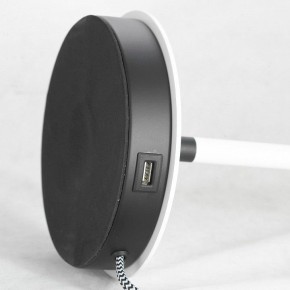 Настольная лампа декоративная Lussole Cozy LSP-0570 в Южноуральске - yuzhnouralsk.mebel24.online | фото 4