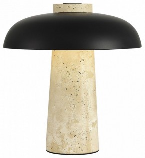 Настольная лампа декоративная ST-Luce Earthy SL1194.424.01 в Южноуральске - yuzhnouralsk.mebel24.online | фото 3