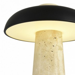 Настольная лампа декоративная ST-Luce Earthy SL1194.424.01 в Южноуральске - yuzhnouralsk.mebel24.online | фото 6