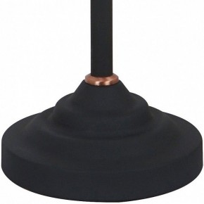 Настольная лампа офисная Arte Lamp Braccio A2054LT-1BK в Южноуральске - yuzhnouralsk.mebel24.online | фото 4