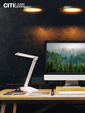 Настольная лампа офисная Citilux Ньютон CL803080 в Южноуральске - yuzhnouralsk.mebel24.online | фото 10