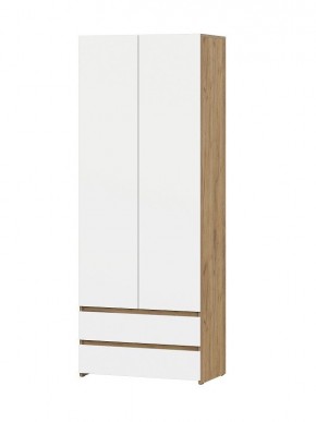 НЕКСТ 1 Шкаф двухстворчатый с ящиками в Южноуральске - yuzhnouralsk.mebel24.online | фото