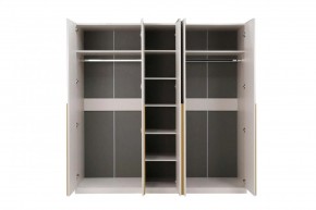 НИКОЛЬ 25 Шкаф 5-ти створчатый в Южноуральске - yuzhnouralsk.mebel24.online | фото 3