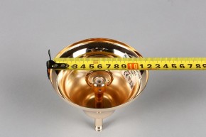 Подвесная люстра Aployt Daniele APL.701.03.12 в Южноуральске - yuzhnouralsk.mebel24.online | фото 6