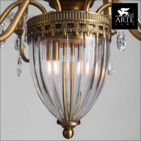 Подвесная люстра Arte Lamp Schelenberg A4410LM-6-2SR в Южноуральске - yuzhnouralsk.mebel24.online | фото 3