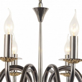 Подвесная люстра Arti Lampadari Pontone Pontone E 1.1.8 PB в Южноуральске - yuzhnouralsk.mebel24.online | фото 3