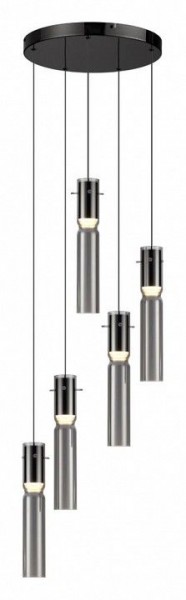 Подвесная люстра Odeon Light Scrow 5058/25L в Южноуральске - yuzhnouralsk.mebel24.online | фото 2