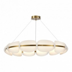 Подвесная люстра ST-Luce Etoile SL1304.203.65 в Южноуральске - yuzhnouralsk.mebel24.online | фото 2